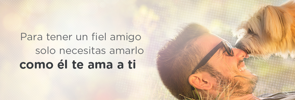 importancia