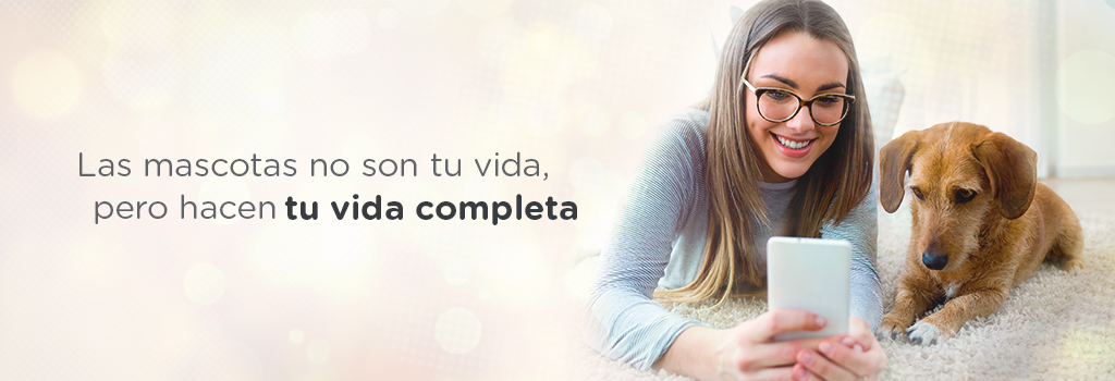 registro