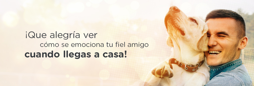 importancia