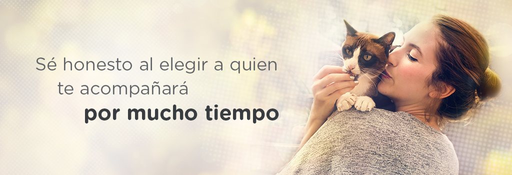 eleccion
