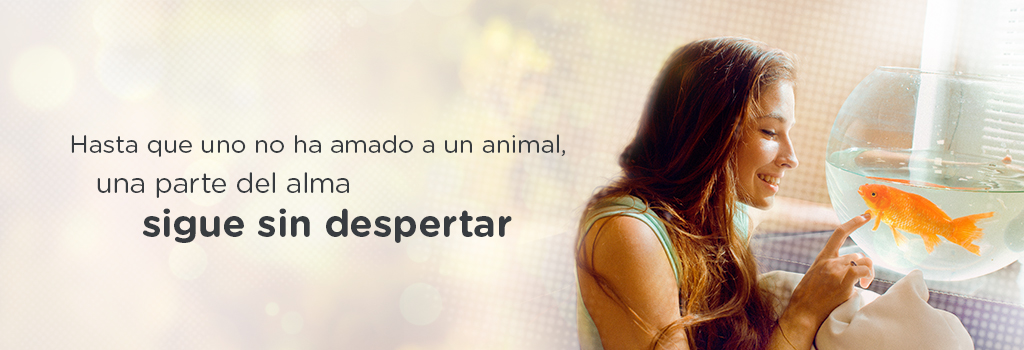 otras mascotas